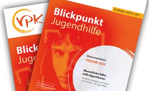 Blickpunkt Jugendhilfe Heft 2.2025