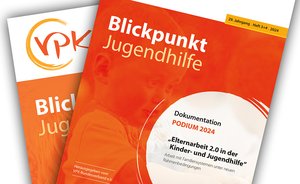Blickpunkt Jugendhilfe Heft 3+4.2024