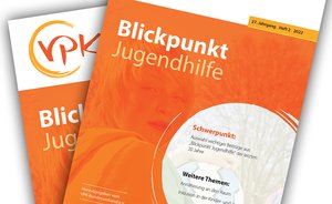 Blickpunkt Jugendhilfe Heft 2.2022